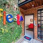 Piñata PV Gay Hotel