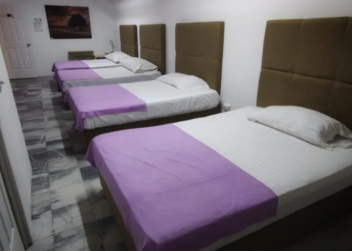 Boutique Basic Hotel