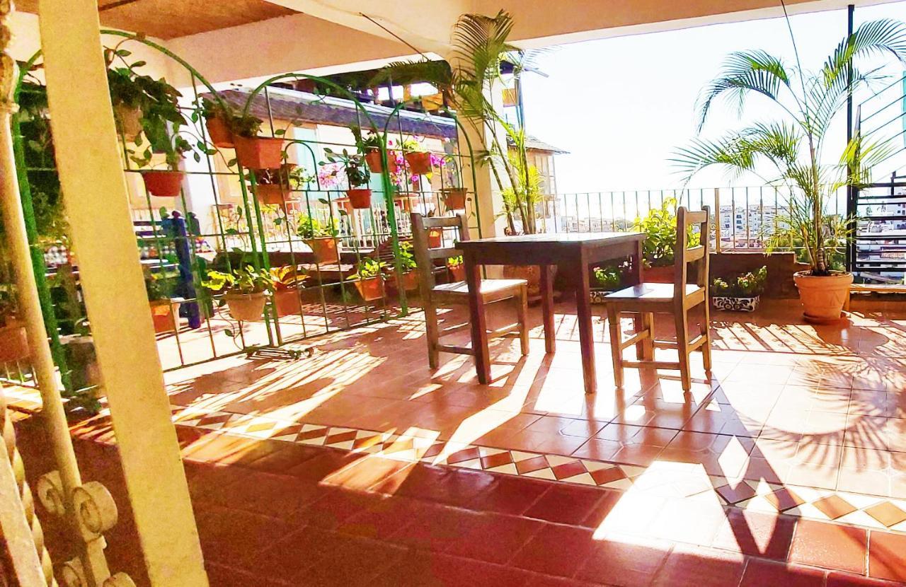 Paloma Del Mar Hotel 3*
