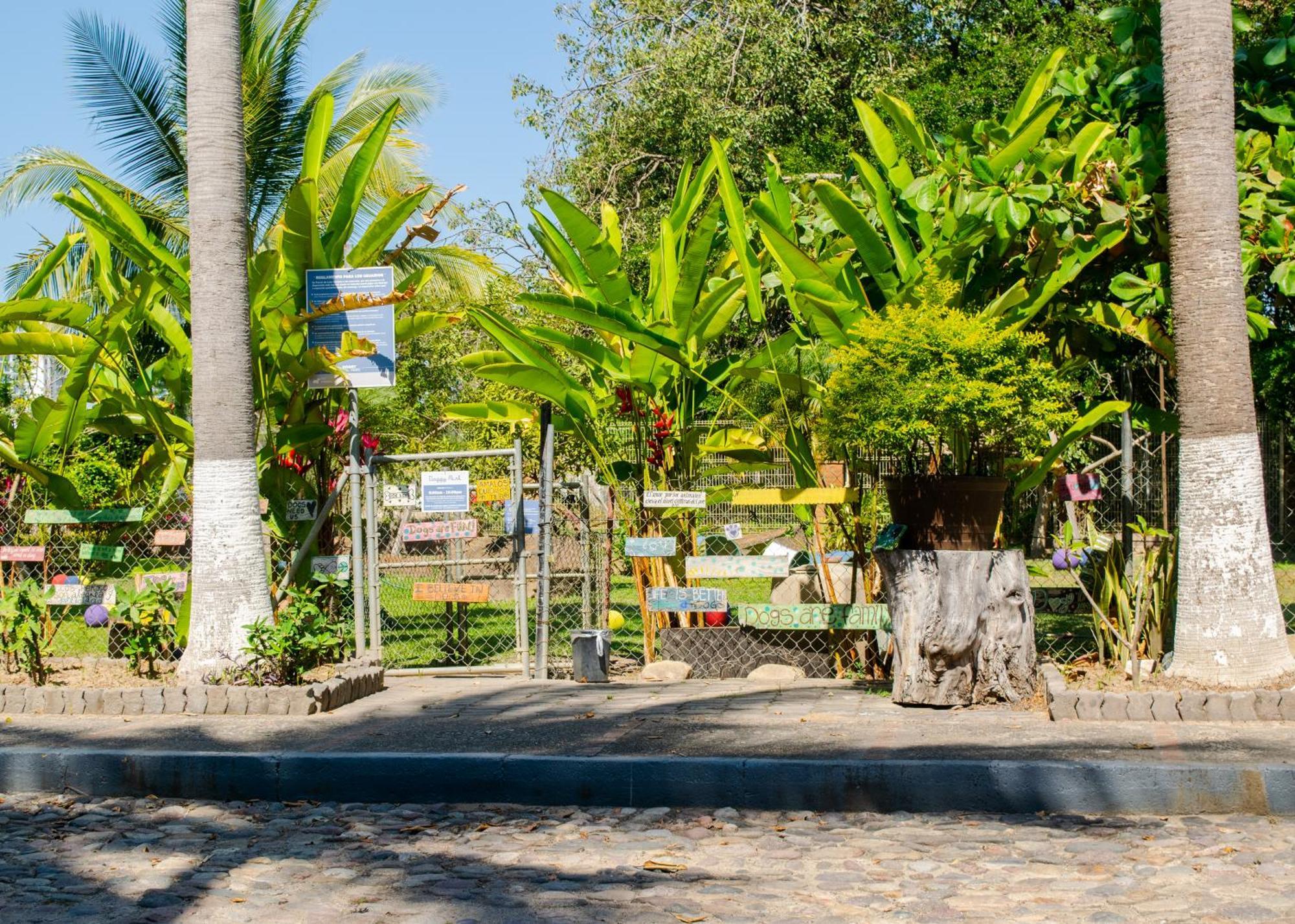Puerto De Luna Pet Friendly&family Hotel Puerto Vallarta