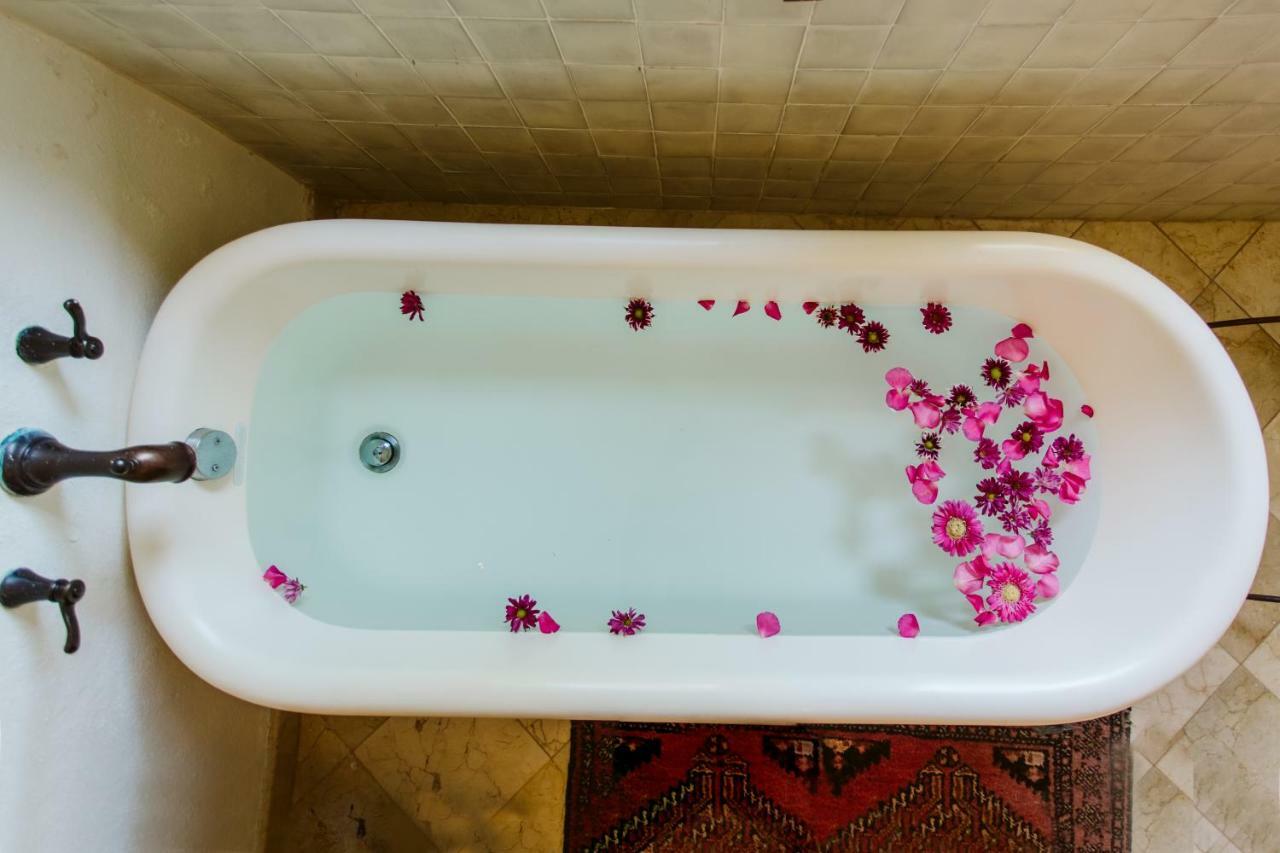 Hotel Hacienda San Angel 4*