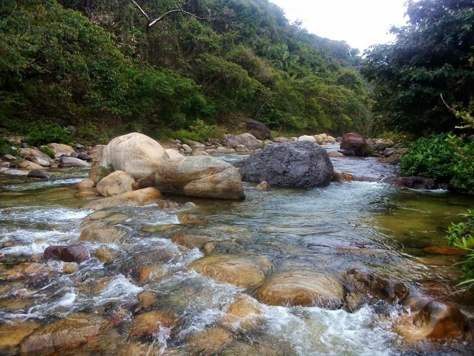 Casa Río Cuale&river Retreat Puerto Vallarta