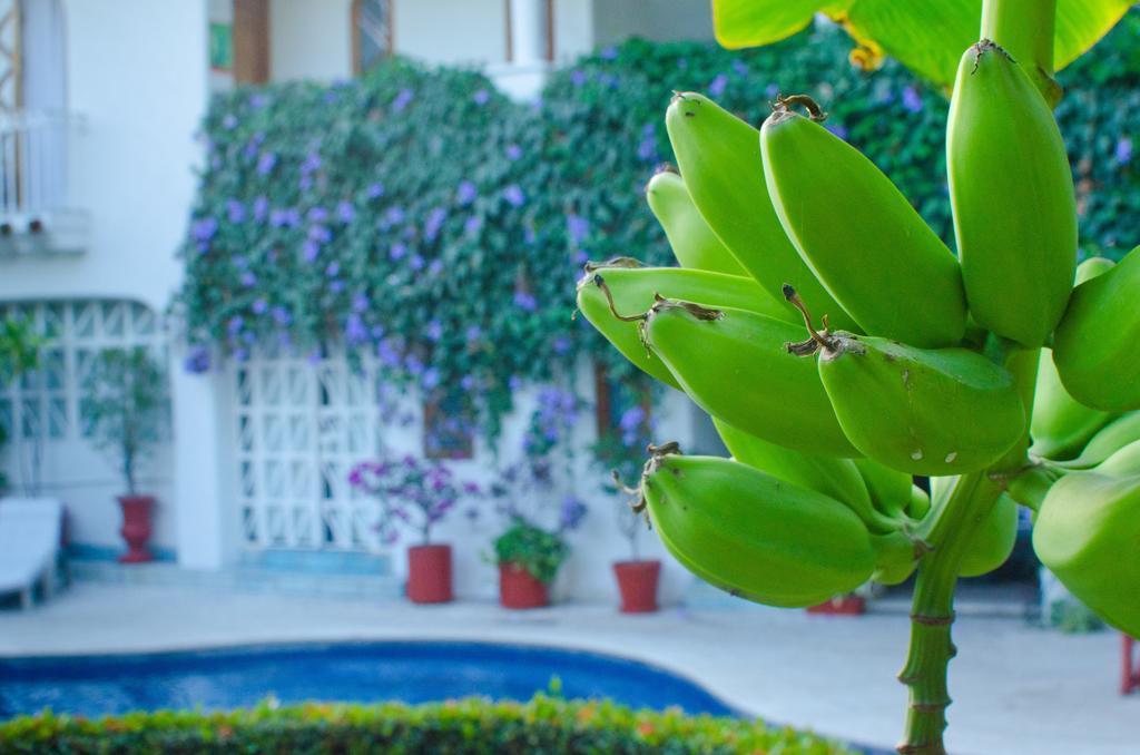 Hotel Casa Tukari Colonial House Puerto Vallarta