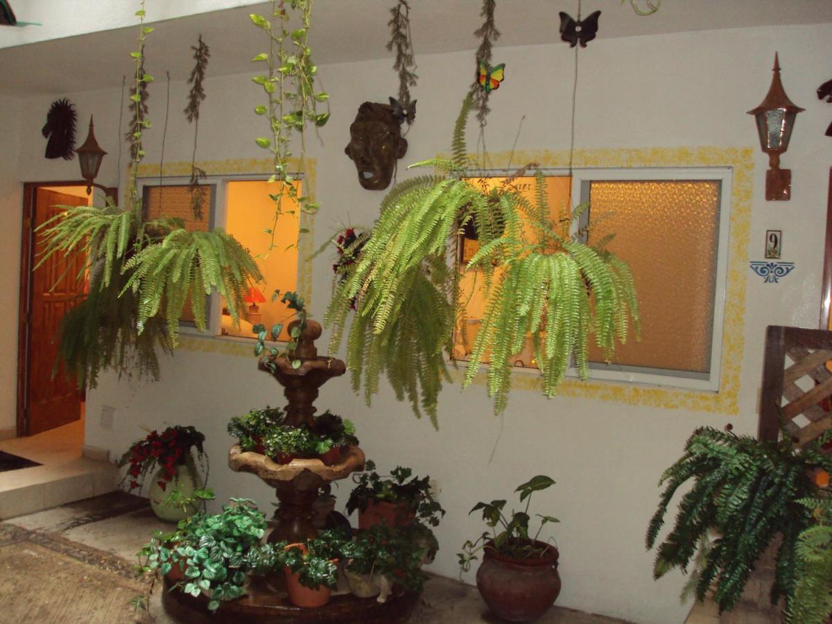 Pensión Vallarta Jr In The Exclusive Zona Romantica Puerto Vallarta