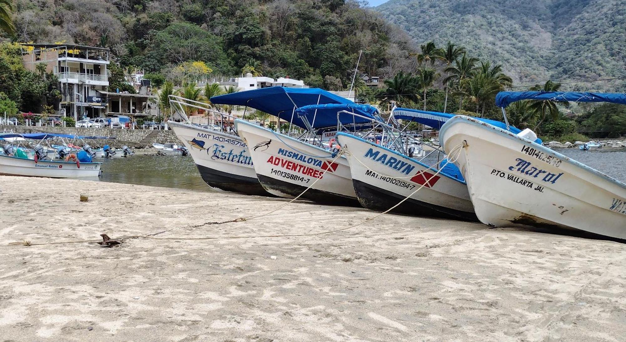 Apartamento Del Amor Puerto Vallarta