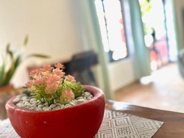 Apartamento Spanish Moon Pv