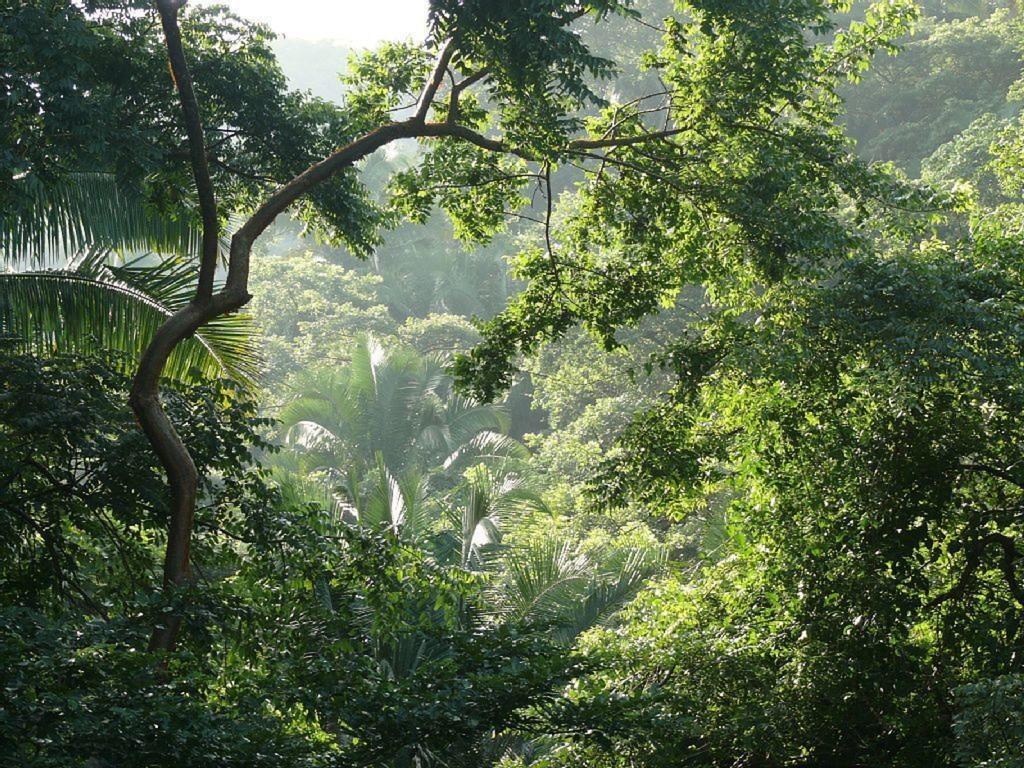 Villa Casa Mamasita Puerto Vallarta