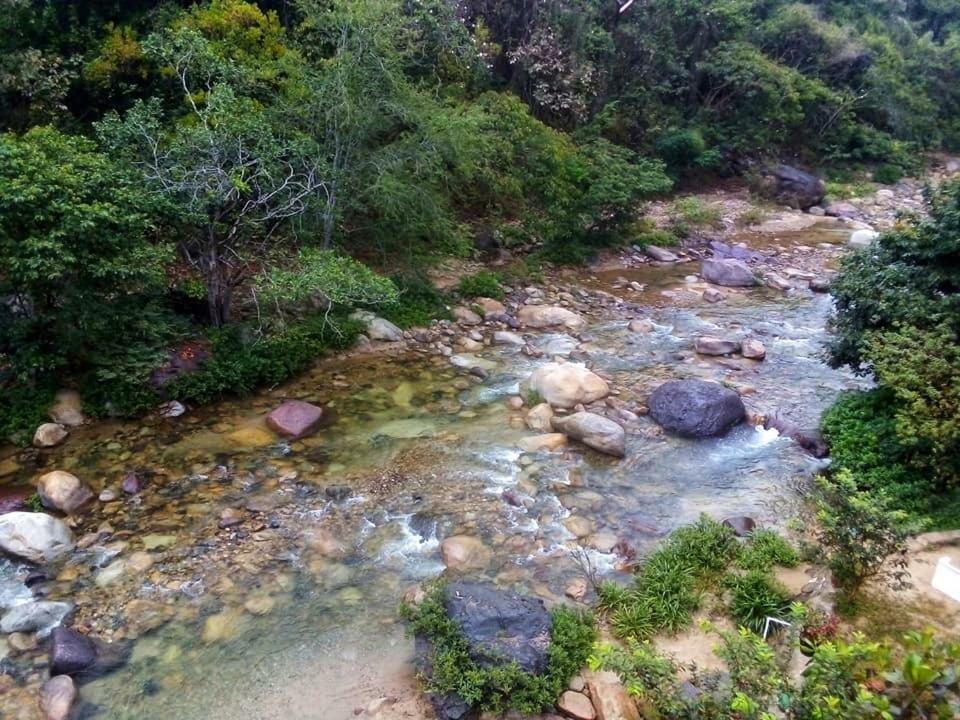Pensión Casa Río Cuale&river Retreat