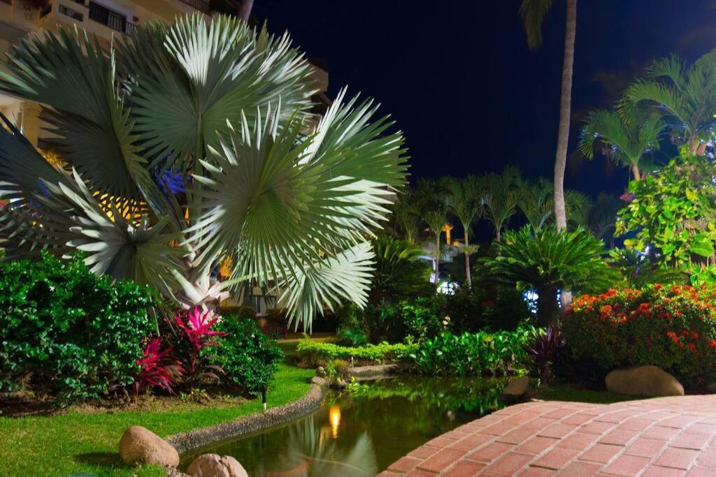 Perfect Place Velas Vallarta Apartamento