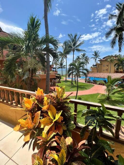 Apartamento Tules - Huge Beachfront In An Amazing Location *