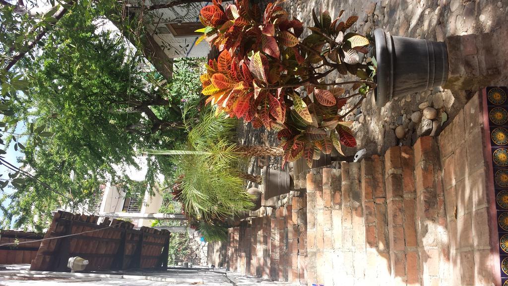 Casa Pancha Centro - Adults Only