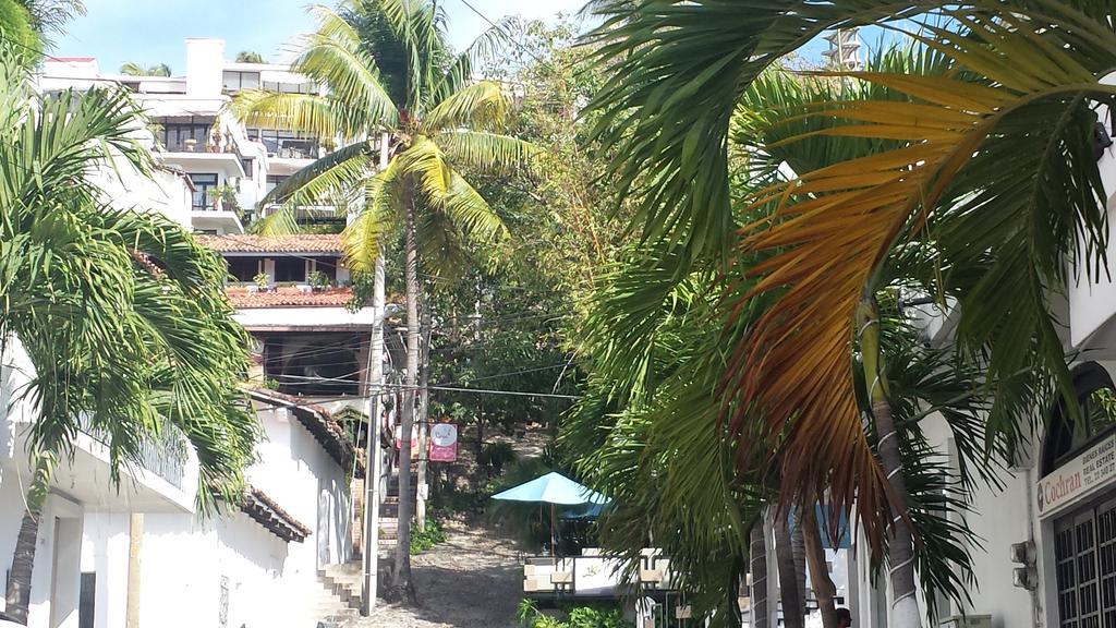 Casa Pancha Centro - Adults Only *